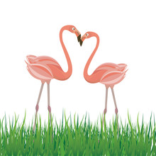 Two Flamingo In Love. Vector Illustration