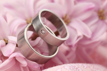 Titanium wedding rings on hyacinth