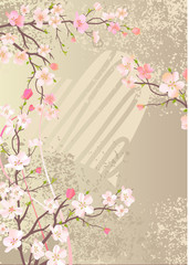 Wall Mural - Beautiful background with blossoming cherry branches