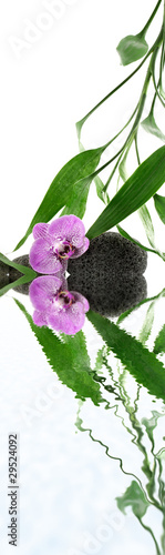 Board z aluminiowym obramowaniem Wodna atmosfera zen, orchidea, kamyki i bambus