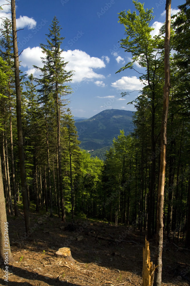 piekny-widok-na-szczyt-skrzycznego-beskidy-latem