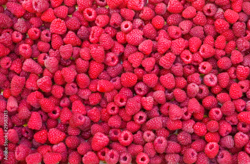 Cuadros en Lienzo Delicious first class fresh raspberries