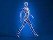 © Pixelchaos - Anatomy walking woman with skeleton X-ray.