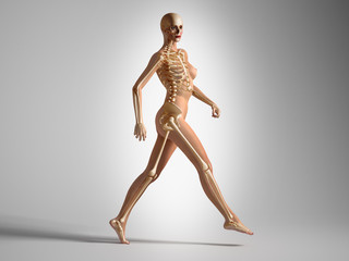 Anatomy walking woman with skeleton