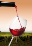 Fototapeta  - pouring red wine on vineyard