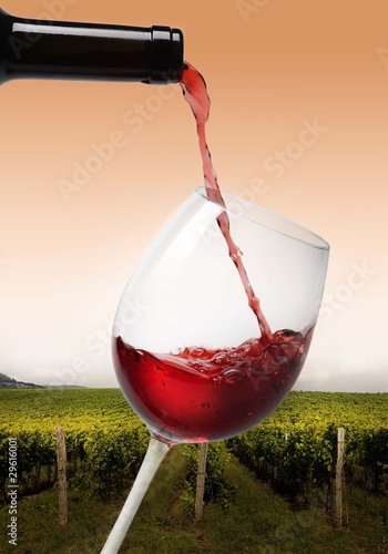 Tapeta ścienna Wlewając czerwone wino do winnicy