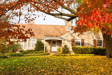 House Philadelphia Yellow Fall Autumn Leaves Tree
