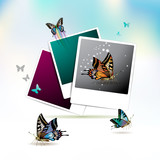Fototapeta Na sufit - Photos collection with butterflies over sky background