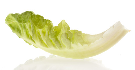 Poster - fresh lettuce