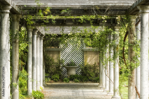 Fototapeta do kuchni Walkway in magical floral garden