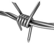 Barbed Wire Spike Closeup