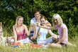 © Richard Semik - friends at a picnic