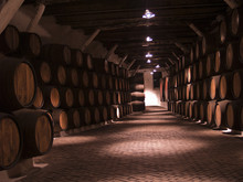 Vine Cellar With Porto Tawny Wooden Barrels