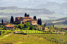 Toskana Weingut - Tuscany Vineyard 03