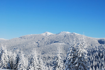 Wall Mural - snowy mountain peak