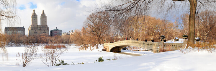 Fototapete - New York City Manhattan Central Park panorama in winter