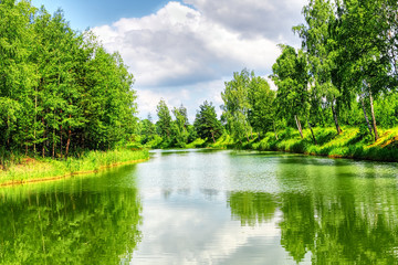 Wall Mural - Green nature landscape