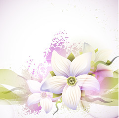 Wall Mural - Vector Floral background for design