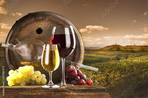 czerwone-i-biale-wino-w-winnicy