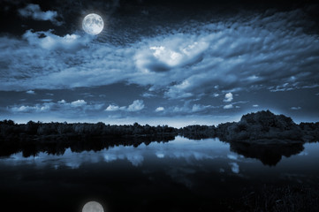 Wall Mural - Moonlight over a lake