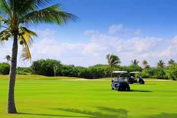 golf course tropical palm trees in Mexico