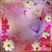 Vintage Floral Design Background And Butterflies