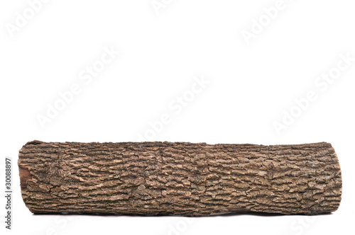 Bûche isolée avec texture en bois Tableau sur Toile