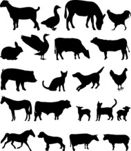 Farm Animals Collection Vector