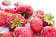Closeup of frozen strawberries