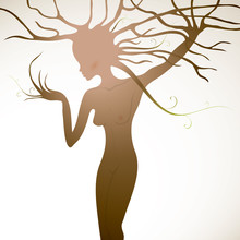 Tree Like Woman With Beautiful Body / Flora