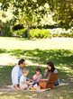 © WavebreakMediaMicro - Smiling family picnicking in the park