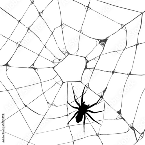 Obraz na płótnie canvas czteroczęściowy "tetraptyk" Grunge web pająk