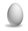 White egg isolated representing fragility