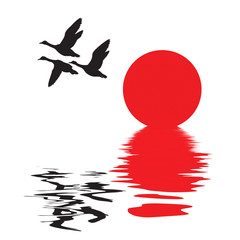 Wall Mural - silhouette flying ducks on white background