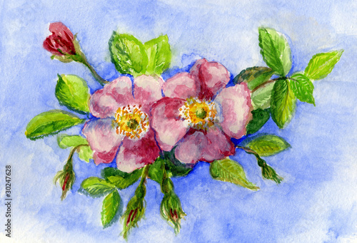 Obraz w ramie Original Painting of Pink Wild Roses