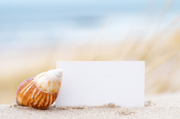 Wall Mural - Shells and a blank card on the beach for a message