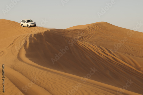 Naklejka na meble Driving in the desert