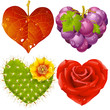 Shape of heart set 3. Fall leaf, grapes, cactus and rose