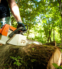 chainsaw cutting wood