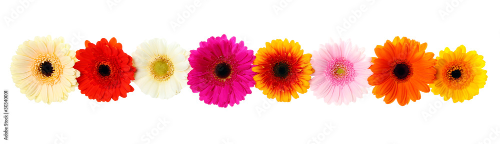 Frühlings Blumen - Blumengirlande freigestellt Stock Photo