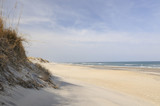 Fototapeta Perspektywa 3d - Isolated Beach on Winter Day - Outer Banks, North Carolina