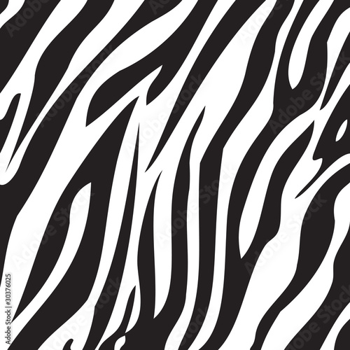 Naklejka samoprzylepna Zebra zebra
