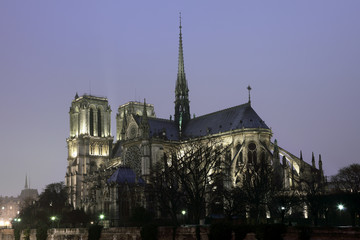 Wall Mural - Notre Dame cathedral in Paris at night