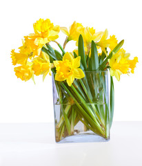 A bouquet of beautiful daffodils in a glass vase isolated on whi