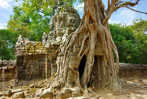 Foto Enorme Wurzeln des tropischen Baums auf dem Tempel nahe Angkor Wat