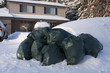 Many green garbage bags at curb winter snow