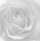 160_f_30430631_oyzzs1dbhw18sidcircewcllhhutlujz