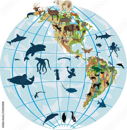 Naklejka na meble earth globe and different animals