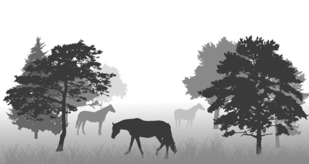Wall Mural - horses between trees