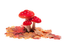 Red Dotted Decoration Mushrooms With Leaves  Isolated